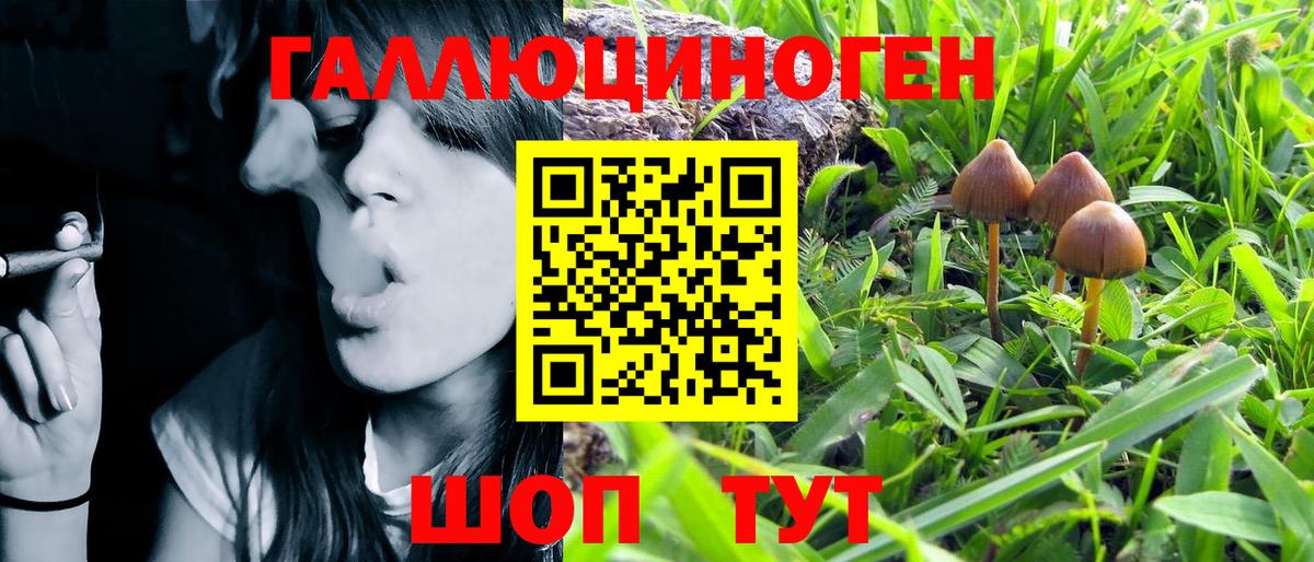Галлюциногенные грибы Magic Shrooms Семёнов